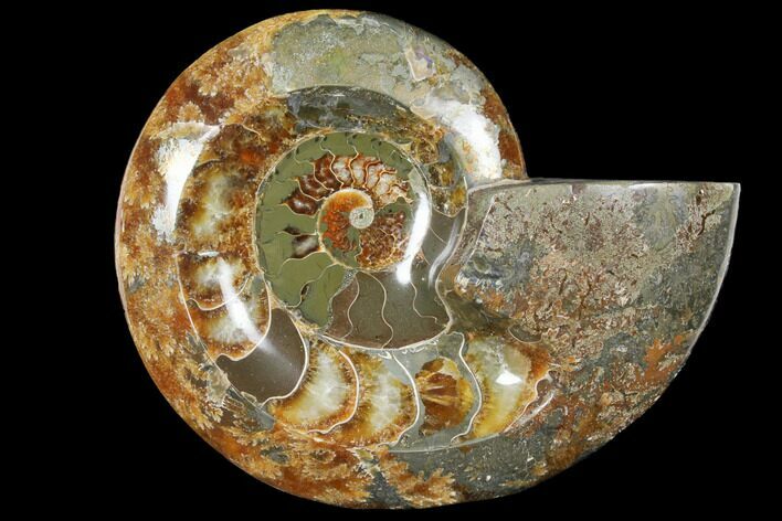 Wide Polished Fossil Ammonite Dish - Inlaid Ammonite #133253